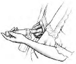 Иллюстрация к книге — Грудное вскармливание. Кормление грудью нужно и ребенку, и маме [i_049.jpg]