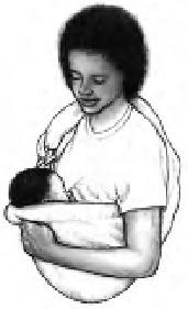 Иллюстрация к книге — Грудное вскармливание. Кормление грудью нужно и ребенку, и маме [i_057.jpg]