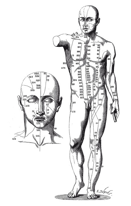 Иллюстрация к книге — Ни кошелька, ни жизни. Нетрадиционная медицина под следствием [i_003.jpg]