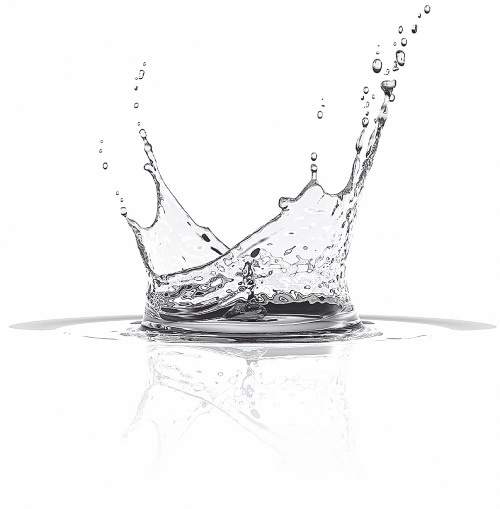 Иллюстрация к книге — Ни кошелька, ни жизни. Нетрадиционная медицина под следствием [i_007.jpg]