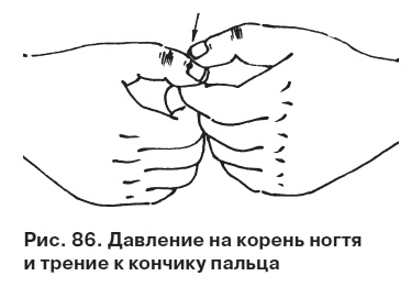 Иллюстрация к книге — Целительные точки от всех болезней в пошаговых схемах [i_087.jpg]