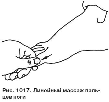 Иллюстрация к книге — Целительные точки от всех болезней в пошаговых схемах [i_1018.jpg]