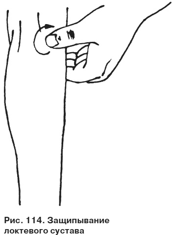 Иллюстрация к книге — Целительные точки от всех болезней в пошаговых схемах [i_115.jpg]