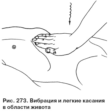 Иллюстрация к книге — Целительные точки от всех болезней в пошаговых схемах [i_274.jpg]