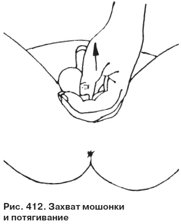 Иллюстрация к книге — Целительные точки от всех болезней в пошаговых схемах [i_413.jpg]