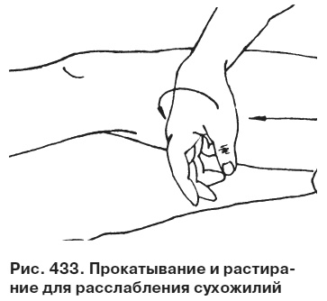 Иллюстрация к книге — Целительные точки от всех болезней в пошаговых схемах [i_434.jpg]