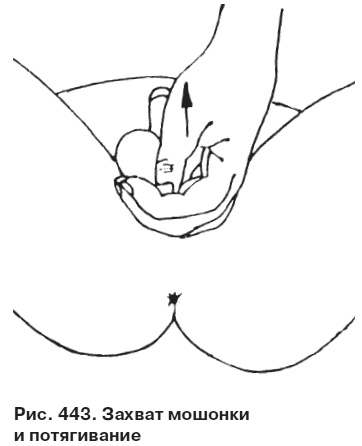 Иллюстрация к книге — Целительные точки от всех болезней в пошаговых схемах [i_444.jpg]