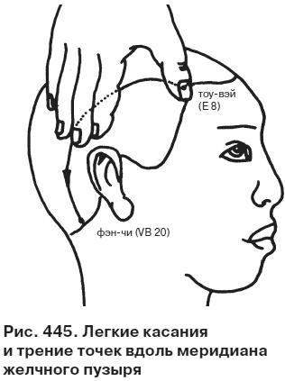 Иллюстрация к книге — Целительные точки от всех болезней в пошаговых схемах [i_446.jpg]