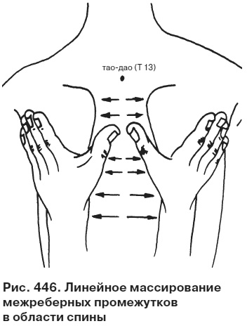 Иллюстрация к книге — Целительные точки от всех болезней в пошаговых схемах [i_447.jpg]