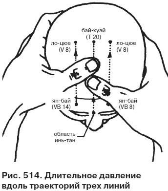 Иллюстрация к книге — Целительные точки от всех болезней в пошаговых схемах [i_515.jpg]