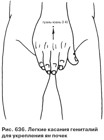 Иллюстрация к книге — Целительные точки от всех болезней в пошаговых схемах [i_637.jpg]