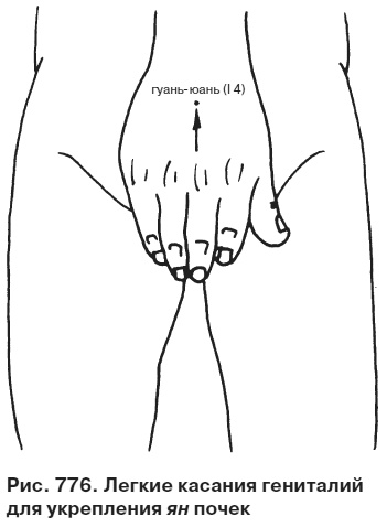 Иллюстрация к книге — Целительные точки от всех болезней в пошаговых схемах [i_777.jpg]