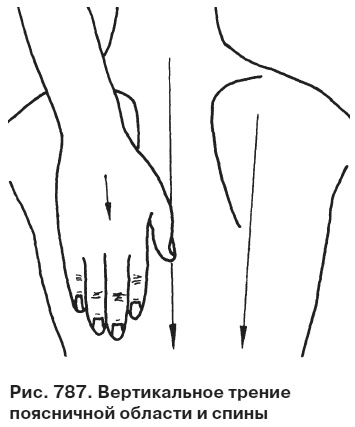 Иллюстрация к книге — Целительные точки от всех болезней в пошаговых схемах [i_788.jpg]