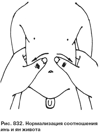 Иллюстрация к книге — Целительные точки от всех болезней в пошаговых схемах [i_833.jpg]