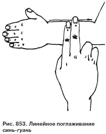 Иллюстрация к книге — Целительные точки от всех болезней в пошаговых схемах [i_854.jpg]