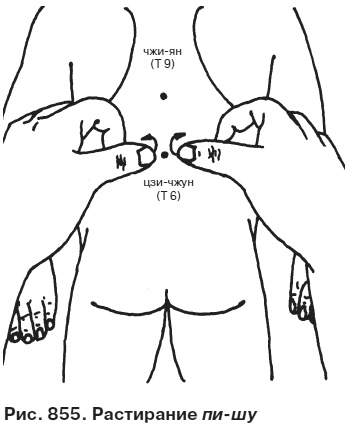 Иллюстрация к книге — Целительные точки от всех болезней в пошаговых схемах [i_856.jpg]