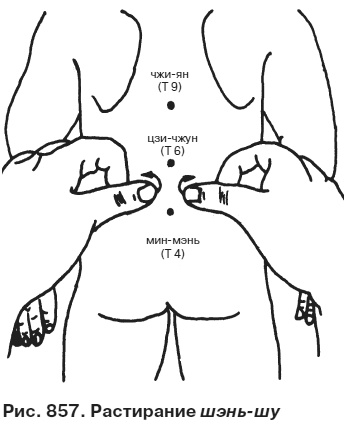 Иллюстрация к книге — Целительные точки от всех болезней в пошаговых схемах [i_858.jpg]