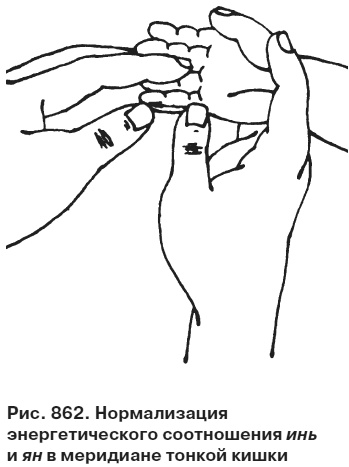 Иллюстрация к книге — Целительные точки от всех болезней в пошаговых схемах [i_863.jpg]