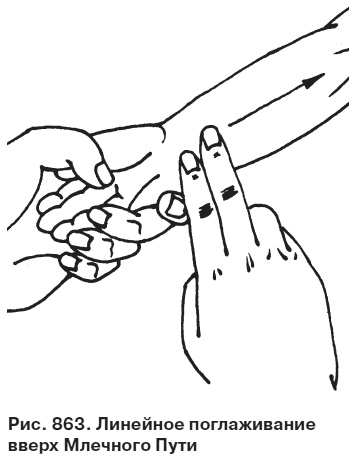 Иллюстрация к книге — Целительные точки от всех болезней в пошаговых схемах [i_864.jpg]