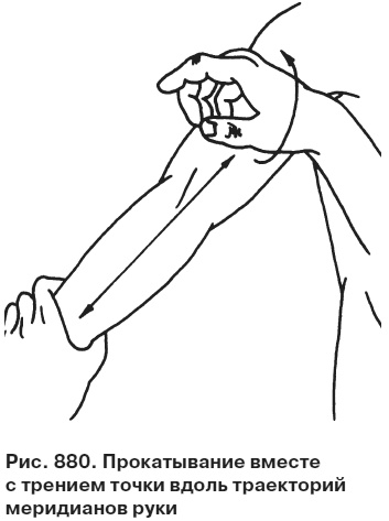 Иллюстрация к книге — Целительные точки от всех болезней в пошаговых схемах [i_881.jpg]