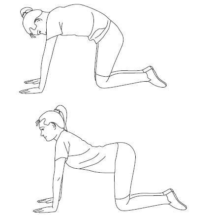 Иллюстрация к книге — Псориаз. Диета, лечение, профилактика [i_052.jpg]