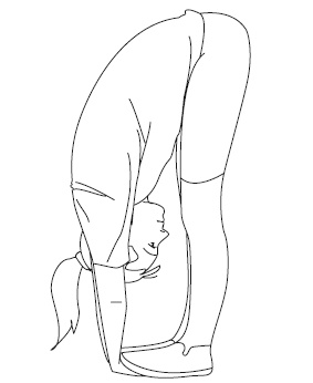 Иллюстрация к книге — Псориаз. Диета, лечение, профилактика [i_064.jpg]