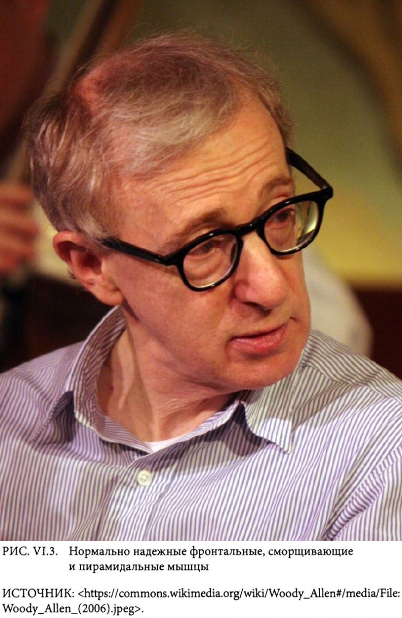 Иллюстрация к книге — Страсти в нашем разуме. Стратегическая роль эмоций [i_014.jpg]