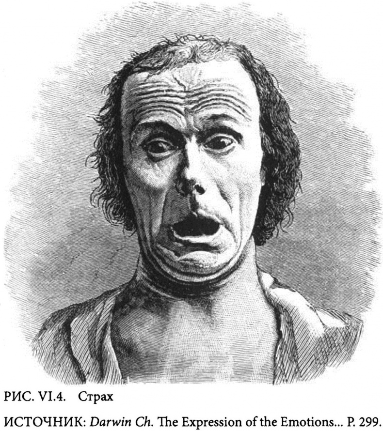 Иллюстрация к книге — Страсти в нашем разуме. Стратегическая роль эмоций [i_015.jpg]