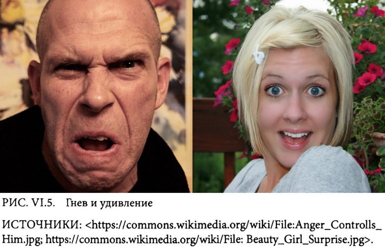 Иллюстрация к книге — Страсти в нашем разуме. Стратегическая роль эмоций [i_016.jpg]