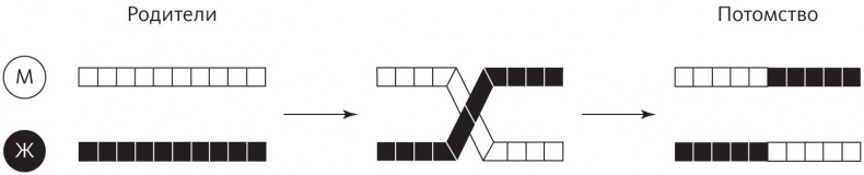 Иллюстрация к книге — Верховный алгоритм. Как машинное обучение изменит наш мир [i_012.jpg]