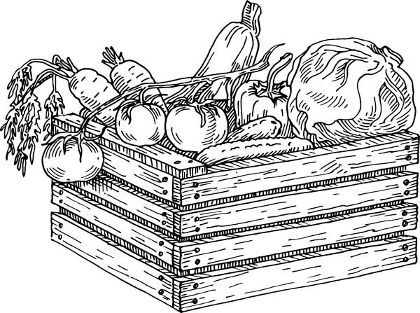 Иллюстрация к книге — Теплицы без ошибок. С чего начать и как эффективно использовать [i_004.jpg]