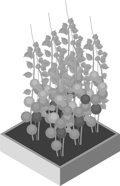 Иллюстрация к книге — Теплицы без ошибок. С чего начать и как эффективно использовать [i_006.jpg]