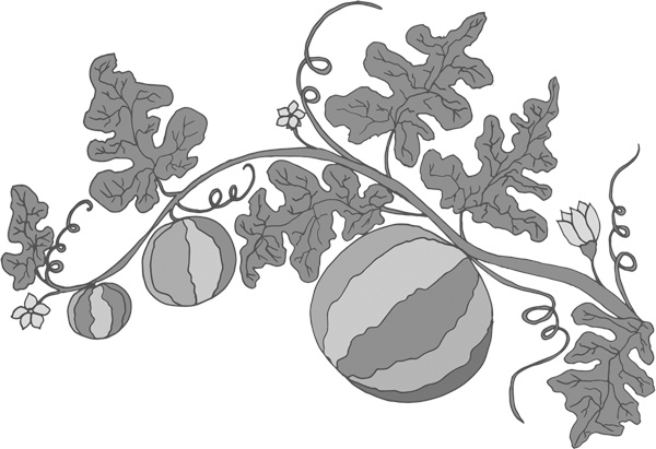 Иллюстрация к книге — Теплицы без ошибок. С чего начать и как эффективно использовать [i_016.jpg]