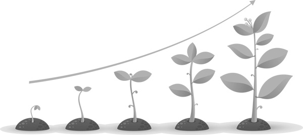 Иллюстрация к книге — Теплицы без ошибок. С чего начать и как эффективно использовать [i_018.jpg]