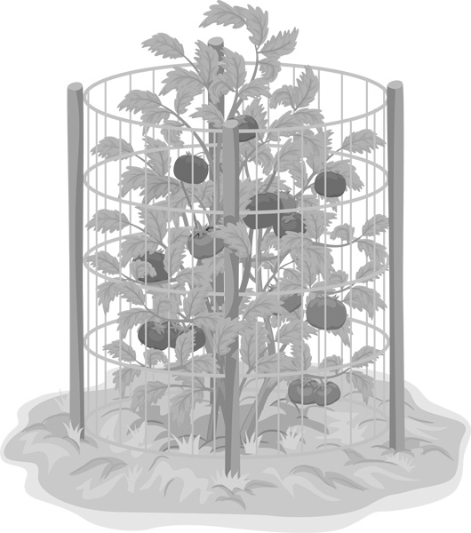 Иллюстрация к книге — Теплицы без ошибок. С чего начать и как эффективно использовать [i_025.jpg]