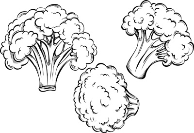 Иллюстрация к книге — Теплицы без ошибок. С чего начать и как эффективно использовать [i_033.jpg]