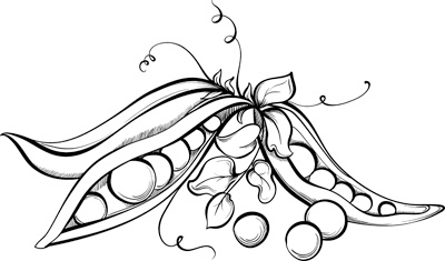 Иллюстрация к книге — Теплицы без ошибок. С чего начать и как эффективно использовать [i_041.jpg]