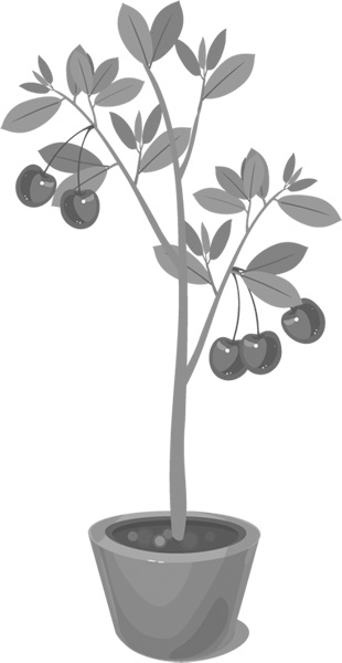 Иллюстрация к книге — Теплицы без ошибок. С чего начать и как эффективно использовать [i_046.jpg]