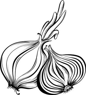 Иллюстрация к книге — Теплицы без ошибок. С чего начать и как эффективно использовать [i_049.jpg]