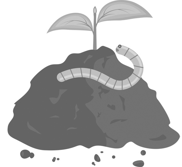 Иллюстрация к книге — Теплицы без ошибок. С чего начать и как эффективно использовать [i_050.jpg]