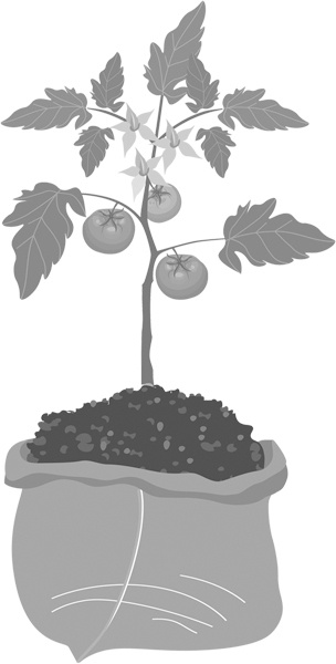 Иллюстрация к книге — Теплицы без ошибок. С чего начать и как эффективно использовать [i_051.jpg]