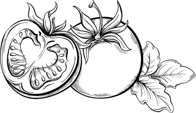 Иллюстрация к книге — Теплицы без ошибок. С чего начать и как эффективно использовать [i_057.jpg]