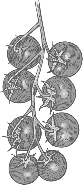 Иллюстрация к книге — Теплицы без ошибок. С чего начать и как эффективно использовать [i_064.jpg]