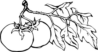 Иллюстрация к книге — Теплицы без ошибок. С чего начать и как эффективно использовать [i_065.jpg]