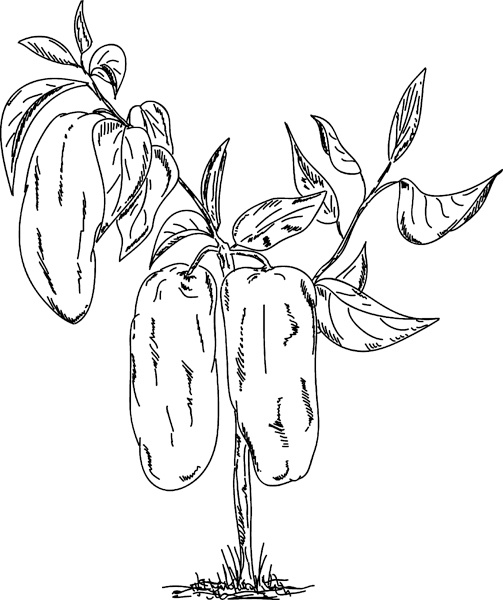 Иллюстрация к книге — Теплицы без ошибок. С чего начать и как эффективно использовать [i_069.jpg]