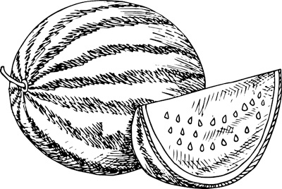 Иллюстрация к книге — Теплицы без ошибок. С чего начать и как эффективно использовать [i_072.jpg]