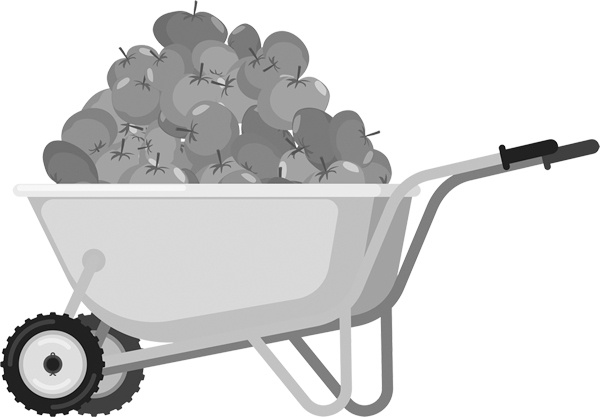 Иллюстрация к книге — Теплицы без ошибок. С чего начать и как эффективно использовать [i_074.jpg]