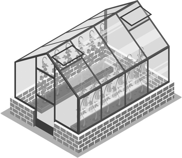 Иллюстрация к книге — Теплицы без ошибок. С чего начать и как эффективно использовать [i_084.jpg]