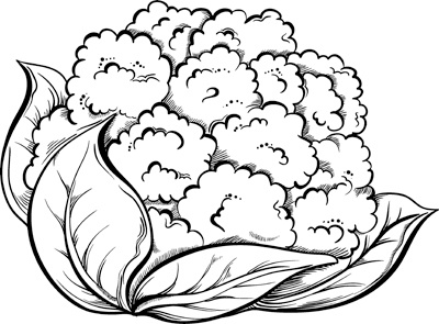 Иллюстрация к книге — Теплицы без ошибок. С чего начать и как эффективно использовать [i_088.jpg]