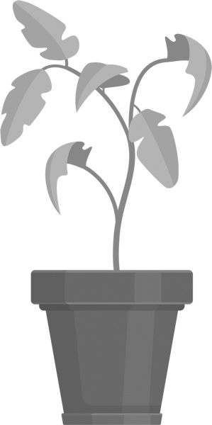 Иллюстрация к книге — Теплицы без ошибок. С чего начать и как эффективно использовать [i_117.jpg]